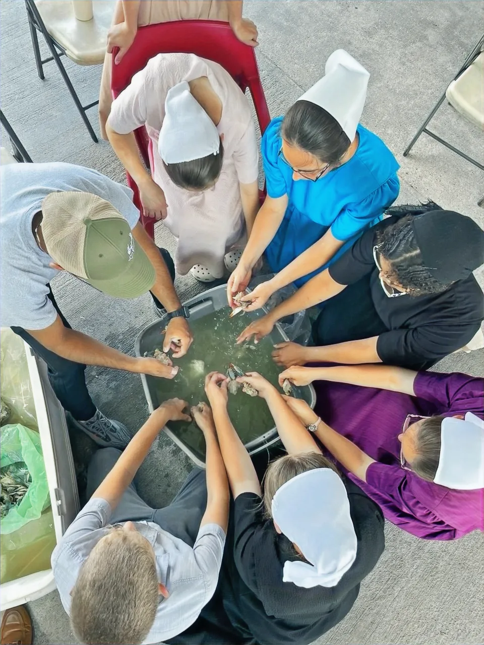 Internship team collaboration